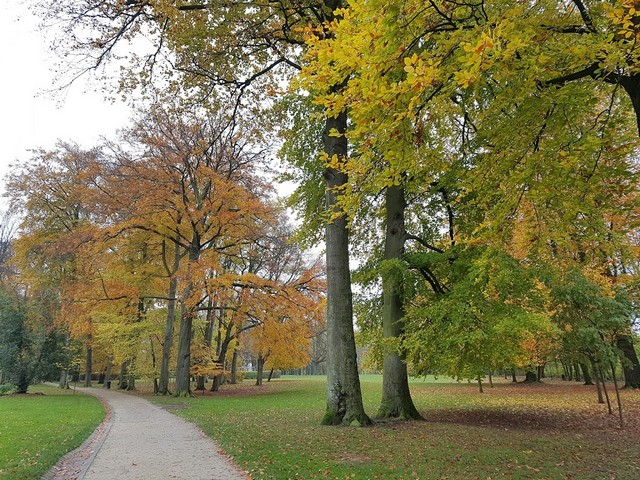  حديقة وولفينديل بروكسل