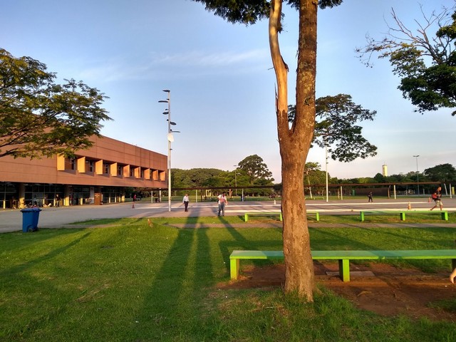 حديقة الشباب ساو باولو