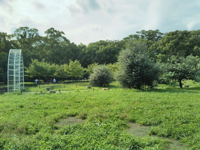 حديقة يويوغي في طوكيو