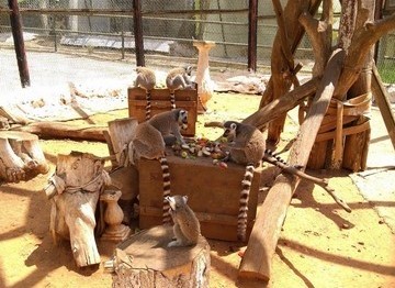 حديقة الحيوانات والتسلية بن عكنون